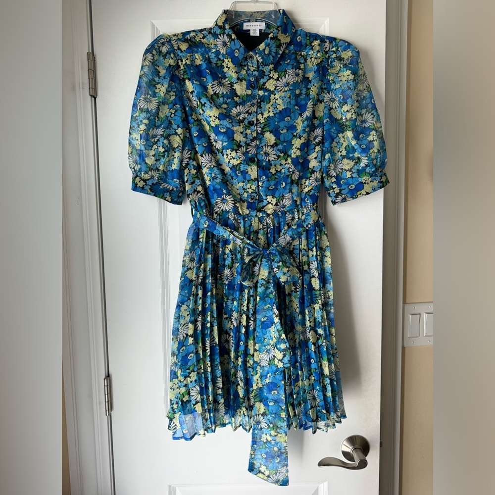 Warehouse Blue Floral Dress